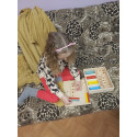 Koka spēle - Mācamies skaitīt MONTESSORI STICKS