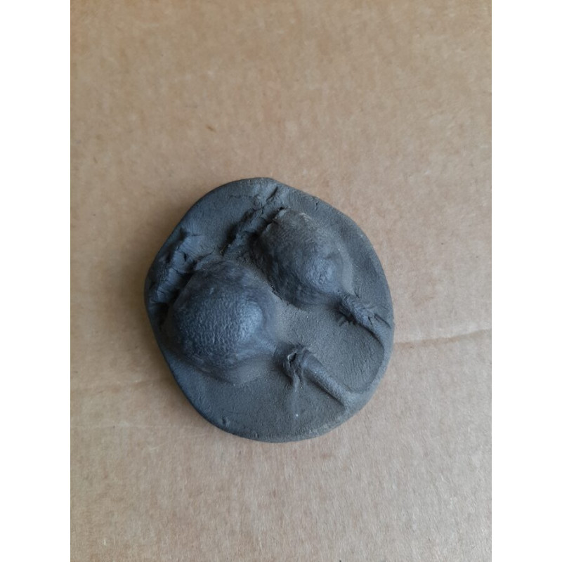 Māla magnets